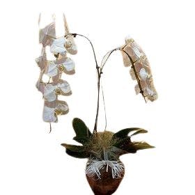 thumb-arranjo-de-no-vaso-de-vidro-orquideas-cascatas-0